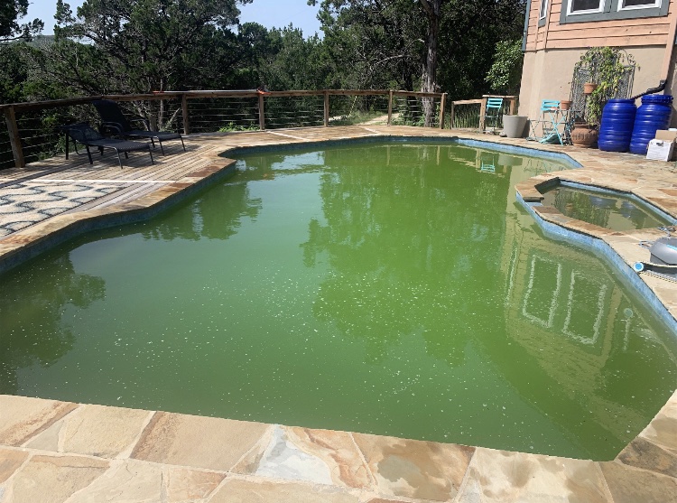 A swimming pool with green algae